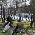 Terrace Tirana